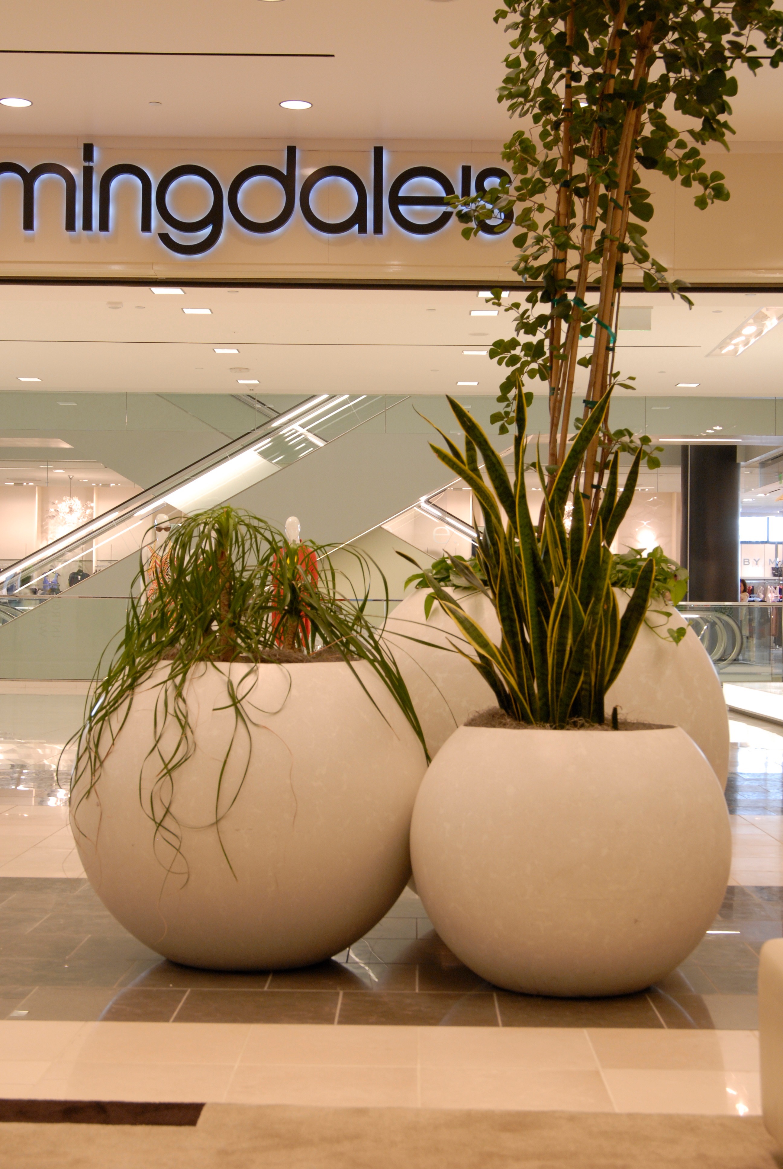 Sphere planters at Bloomingdale's